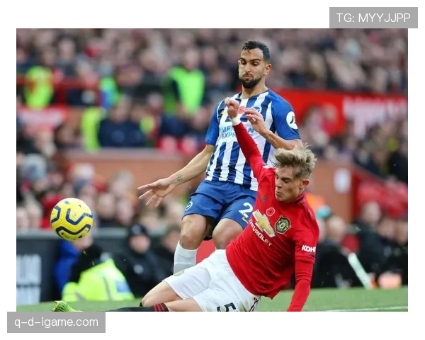 布莱顿球迷集体发声，呼吁英超加强俱乐部治理