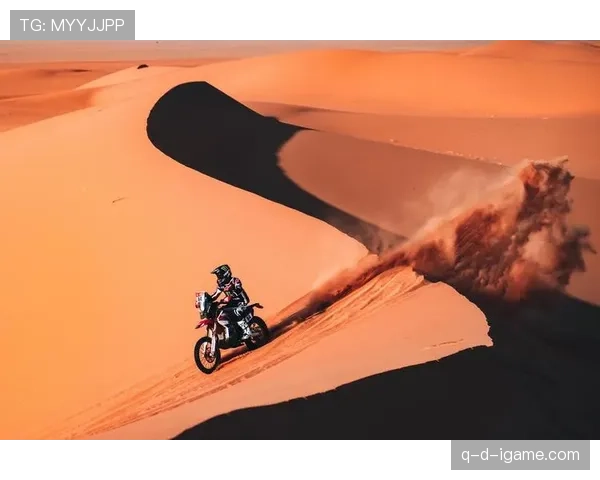 沙尔克边路闪电突袭创赛季新高，速度表现引广泛关注