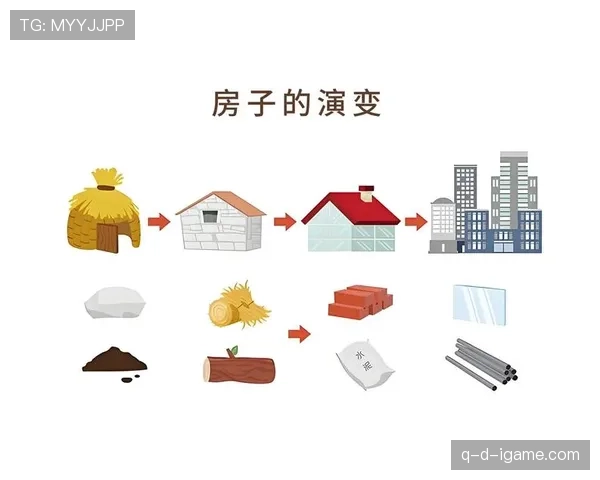 B费：从前腰到自由核心的角色演变解析